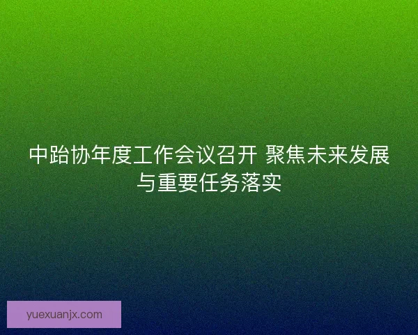 中跆协年度工作会议召开 聚焦未来发展与重要任务落实