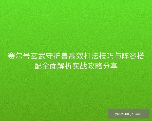 赛尔号玄武守护兽高效打法技巧与阵容搭配全面解析实战攻略分享