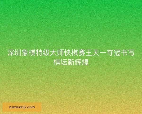 深圳象棋特级大师快棋赛王天一夺冠书写棋坛新辉煌