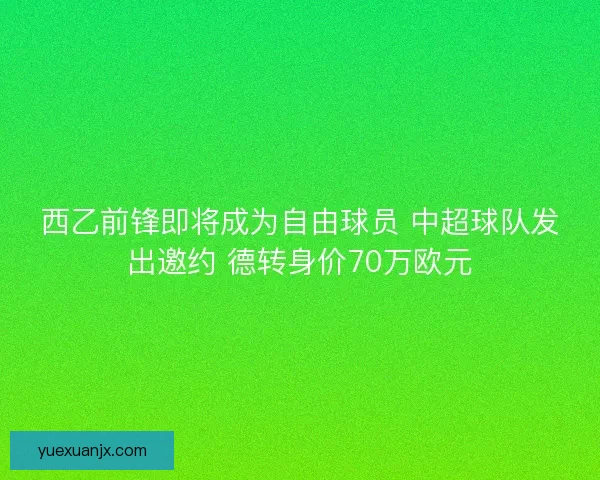 西乙前锋即将成为自由球员 中超球队发出邀约 德转身价70万欧元